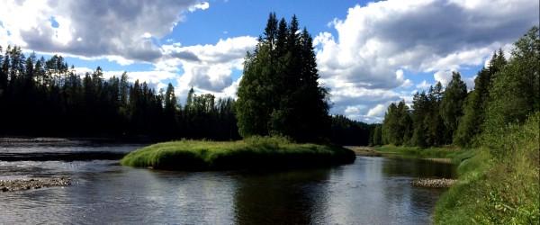 Meåforsen, Faxälven - Image 3