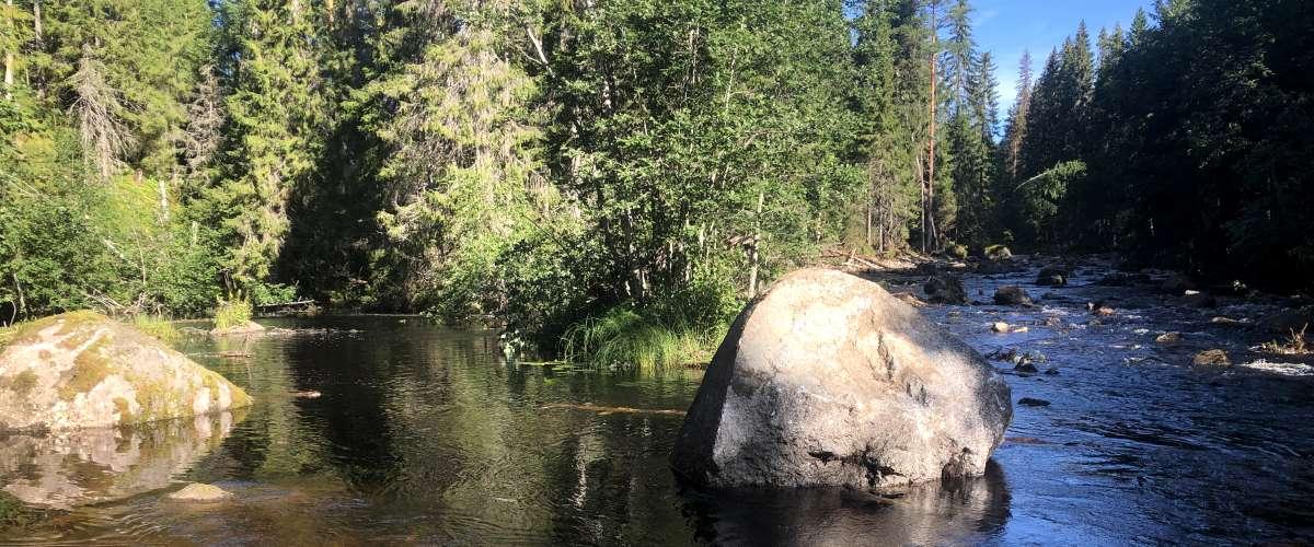 Öppnad sidofåra har skapat en blankvattenyta nedom strömparti