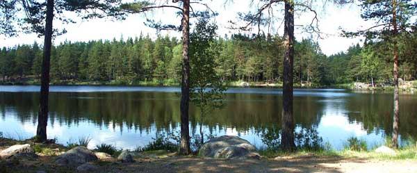 IF Metalls Sportfiskeområde - Image 4