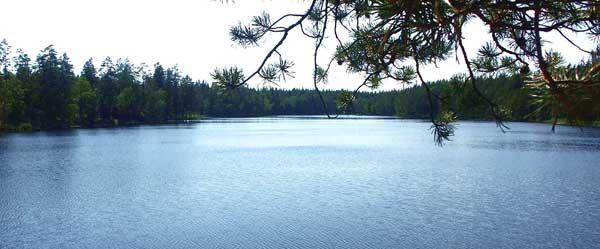 IF Metalls Sportfiskeområde - Image 5