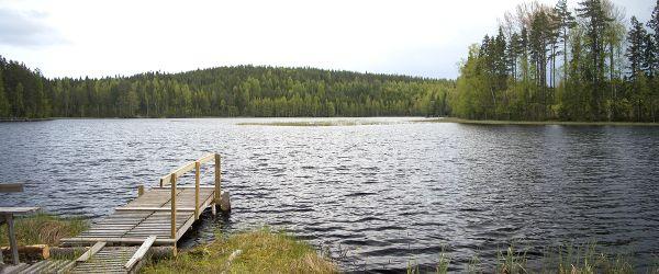 Ovanåkers FVOF - Image 2