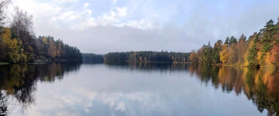 Pickesjön - Image 4