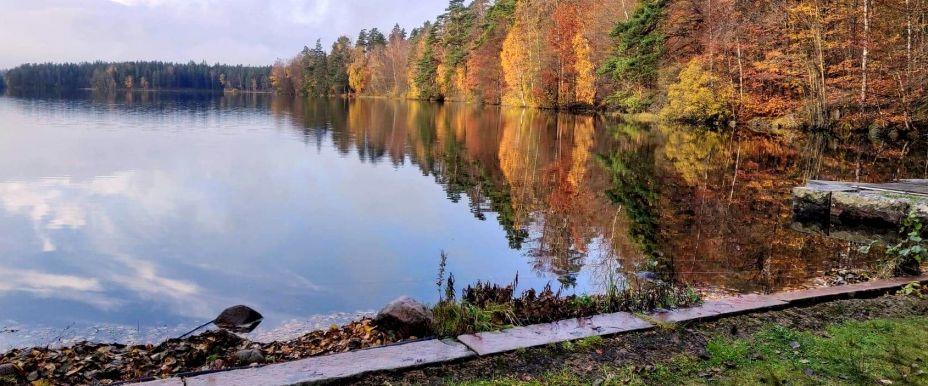 Pickesjön - Image 5