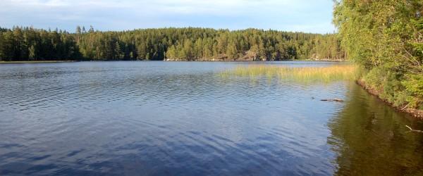 Skärveteån, Narrveteån - Image 3