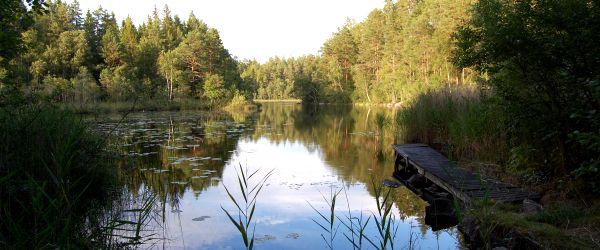 Skärveteån, Narrveteån - Image 4