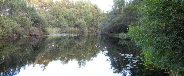 Skärveteån, Narrveteån - Image 5