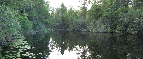 Skärveteån, Narrveteån - Image 6