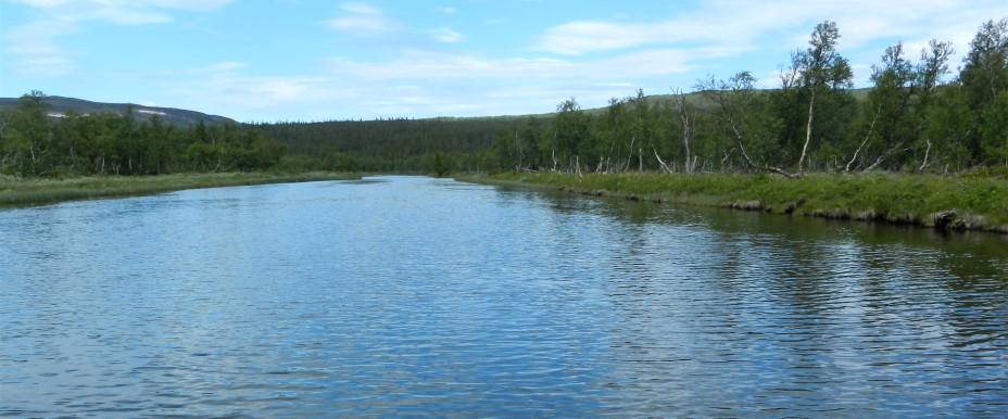 Skärvagsån