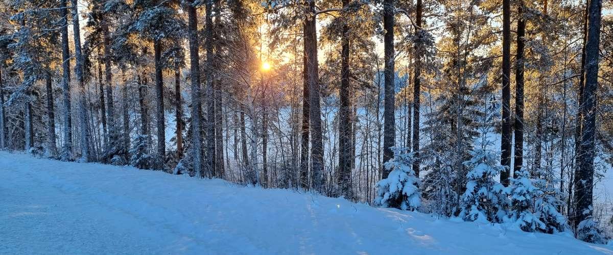 Lillsiktensjön