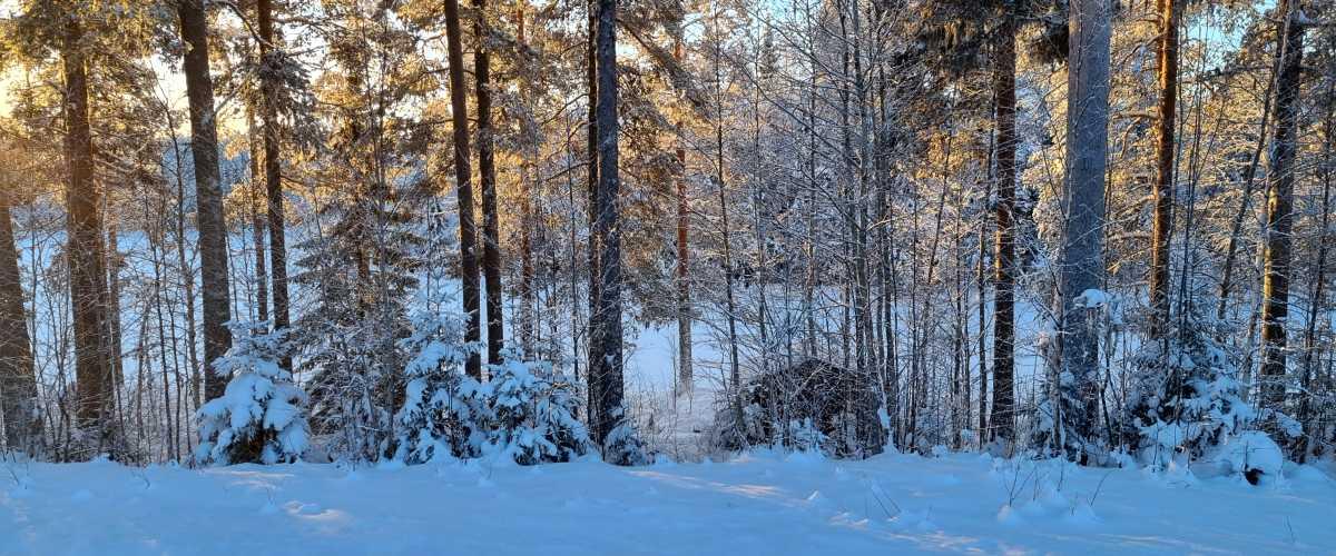 Lillsiktensjön