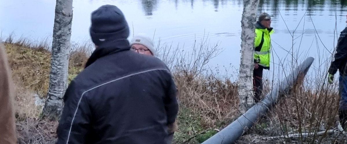 Utplantering röding 241029
