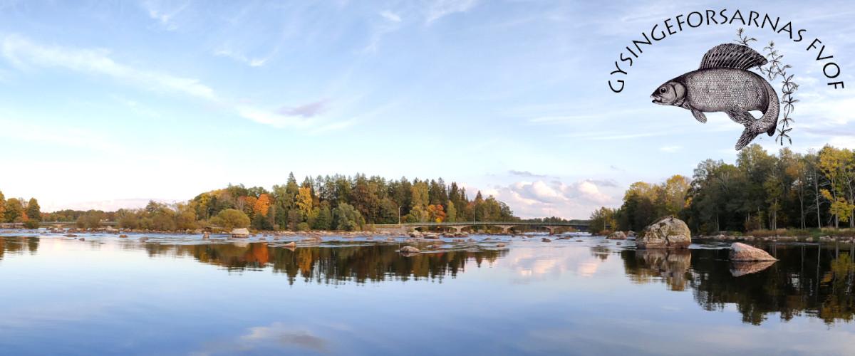 Dalälven (Gysingeforsarna) - Image 4
