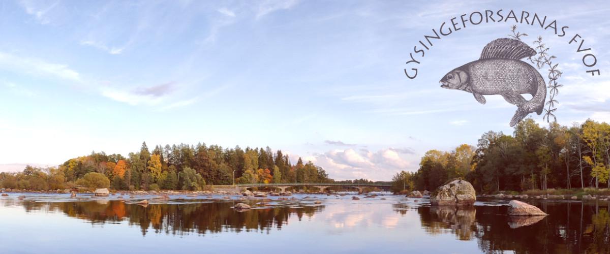 Dalälven (Gysingeforsarna) - Image 3