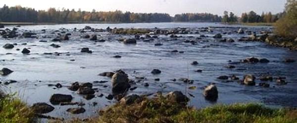 Dalälven (Gysingeforsarna) - Image 2