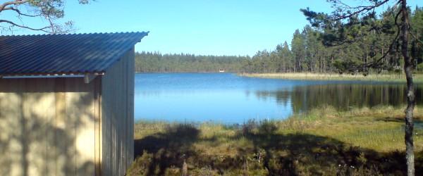 Torrhedstjärn, Norrläxen, Hamrångefjärden, Storsjö-Viksjö, Hamrångeån - Image 1