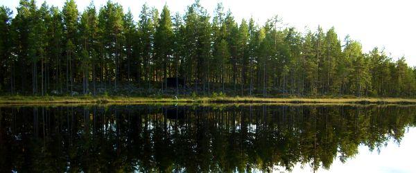 Torrhedstjärn, Norrläxen, Hamrångefjärden, Storsjö-Viksjö, Hamrångeån - Image 2