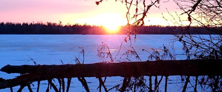 Vissjön - Image 2