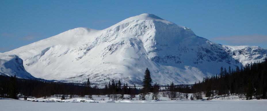 Silkentjakk