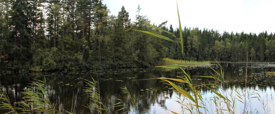 Skäresjön - Image 1