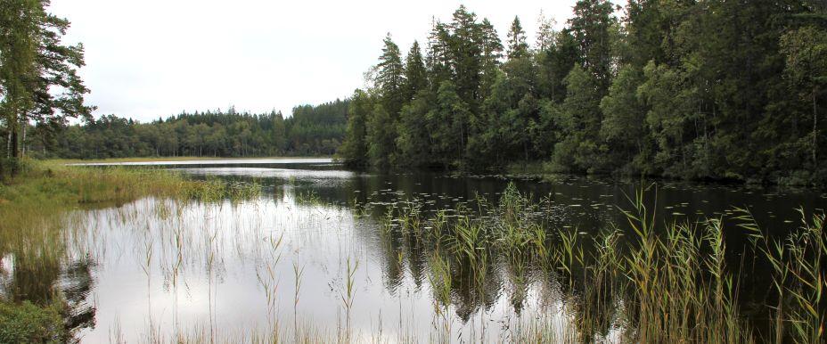 Skäresjön - Image 2