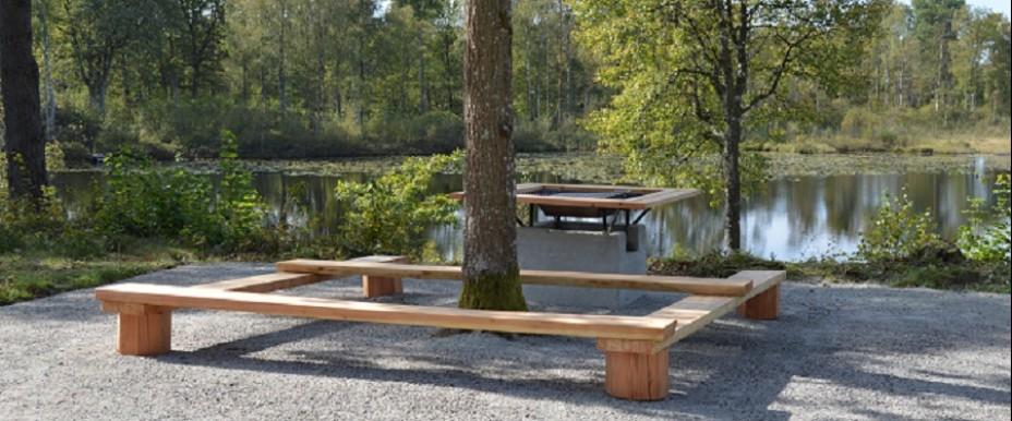 Hjälmsjön Pinnån - Image 2