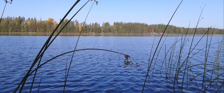 Finnsjön mfl - Image 2