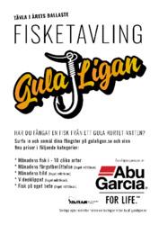 Mer infon om Gula Ligan