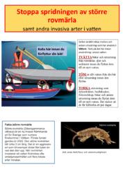 Information om rovmärla.