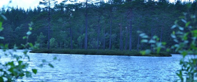 Tivedenområdet (Hökensås)