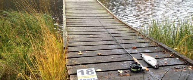 Lilla Hålsjön (Trollsjön)