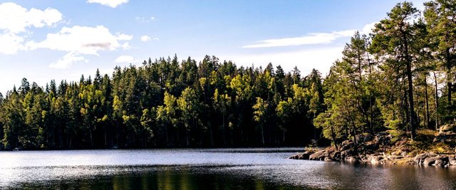 Holmen Skog Syd Personal