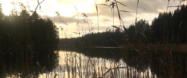 Selesjö – Hunn