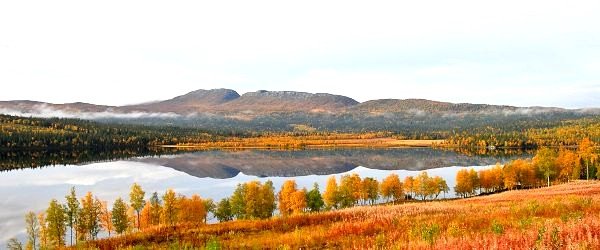 Frostviken