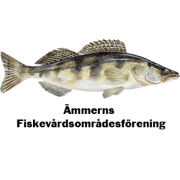 Ämmerns FVOF