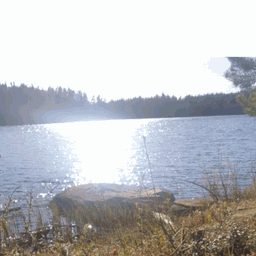 Skogstjärnens FVOF