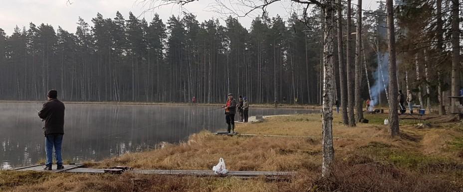 Lysegöl - Image 1
