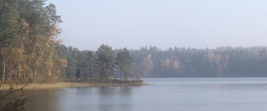 Östra och Västra Laxsjön, Örkaggen mfl - Image 1