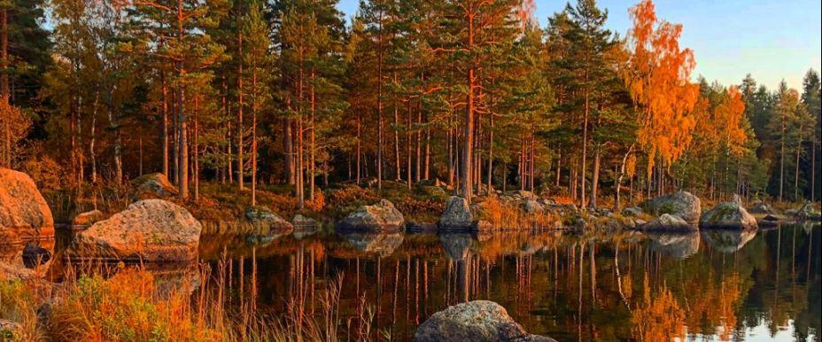 Photo of Kilsbergen Sportfiske (Ädelfiske) Villingsberg & Karlsdal