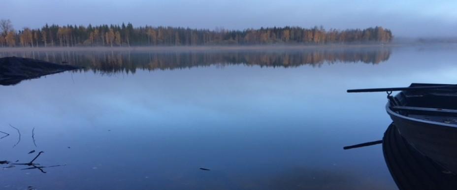 Labodasjön, Bågen och Olsbennings damm - Image 1