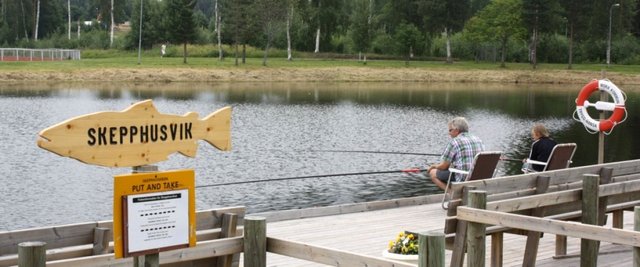 Skepphusvik