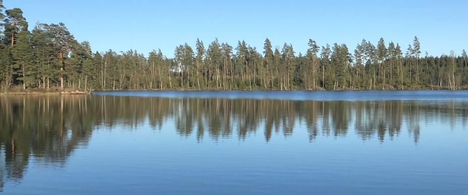 Vassgården, Björsjön, Hökasjön m fl sjöar - Image 1