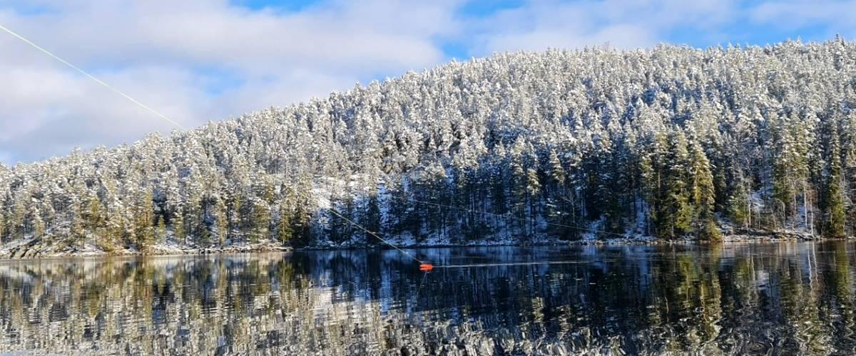 Svaningssjön, Stråken, Fågelsjön m fl - Image 1