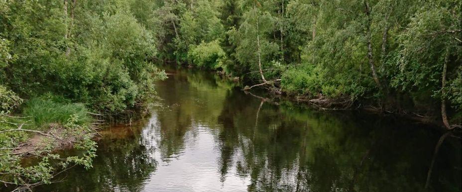 Utterån Hädanbergsån m fl sjöar - Image 1