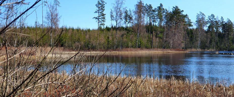 Södra Smedsjön