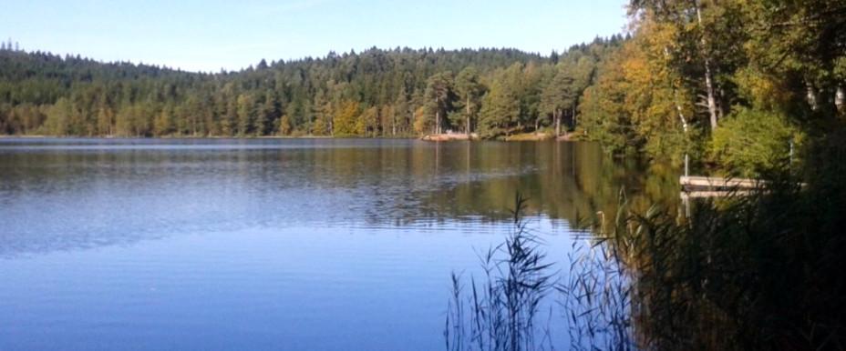 Torvsjön - Image 1