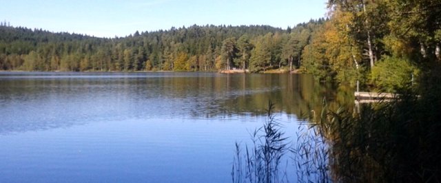 Torvsjön