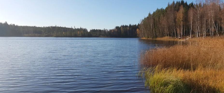 Nordsjön