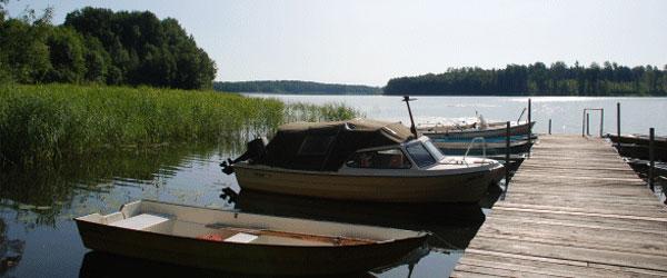 Photo of Kolsnaren och Viren