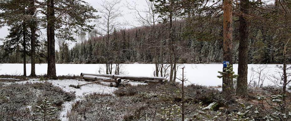 Trästatjärn - Image 1