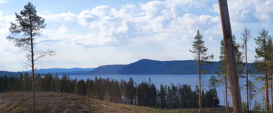 Gruckarna, Ljungan, Flåsjön m fl vatten - Image 1